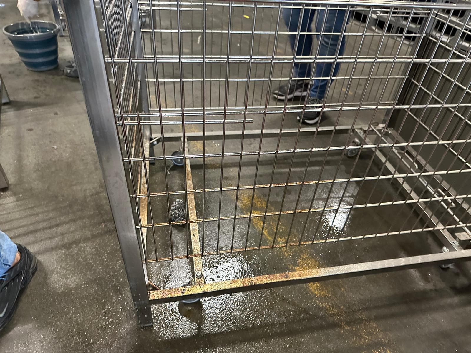 Grundreinigung eines gewerblichen Objekts in NRW