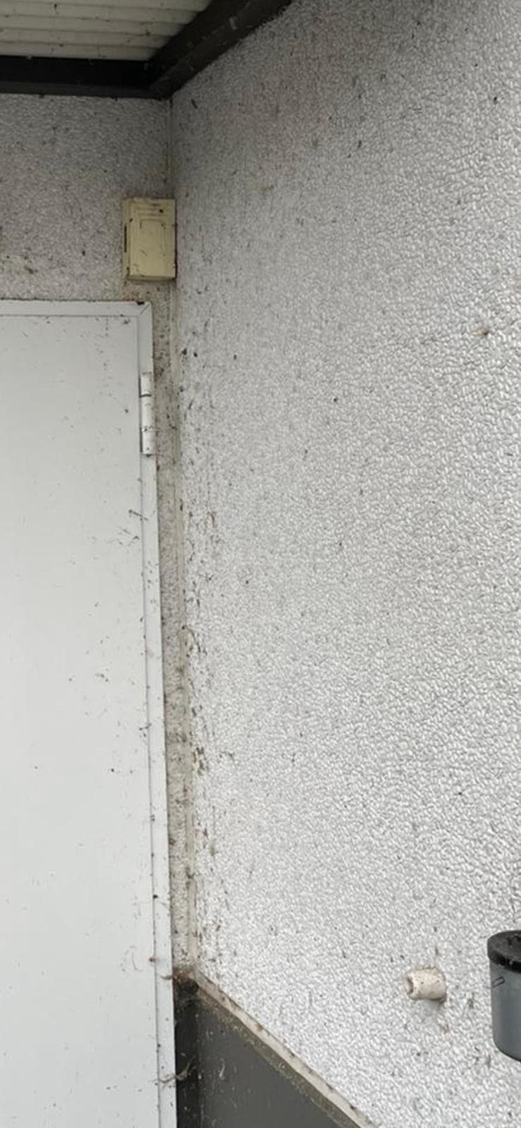 Unterhaltsreinigung von Böden und Oberflächen